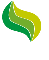 M(fi)ýY(ji)
